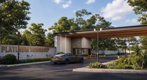 Platinum Township photo 2